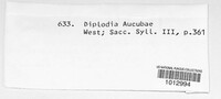 Metadiplodia aucubae image